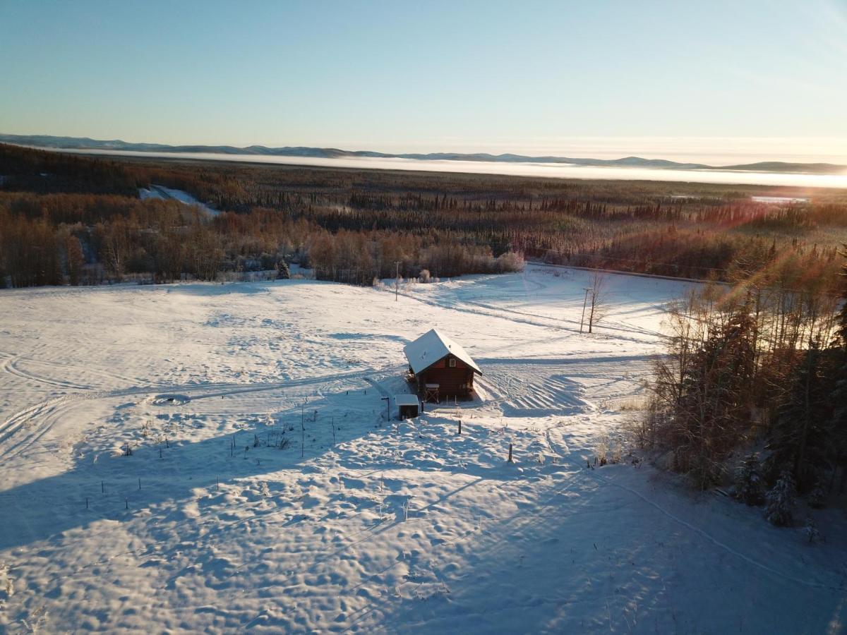 Secluded Log Cabin, 30 Min From Chena Hot Springs Pleasant Valley Extérieur photo